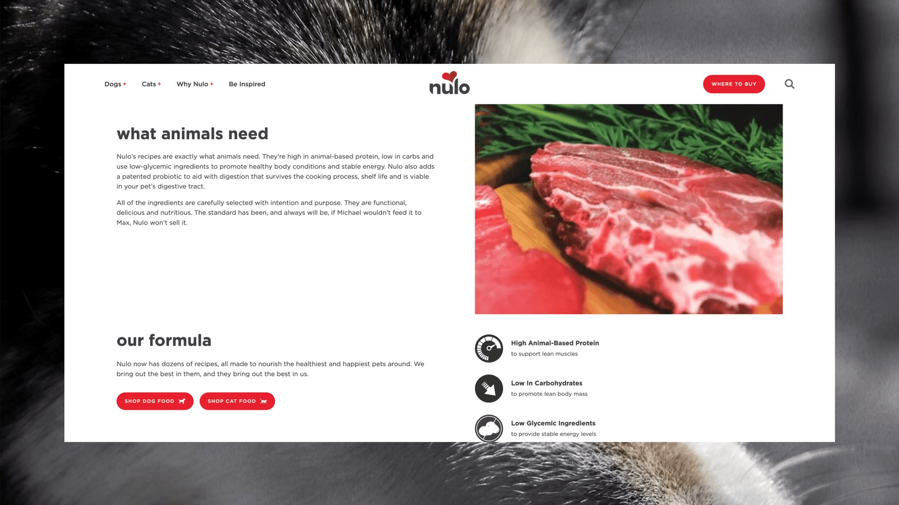 Nulo website desktop