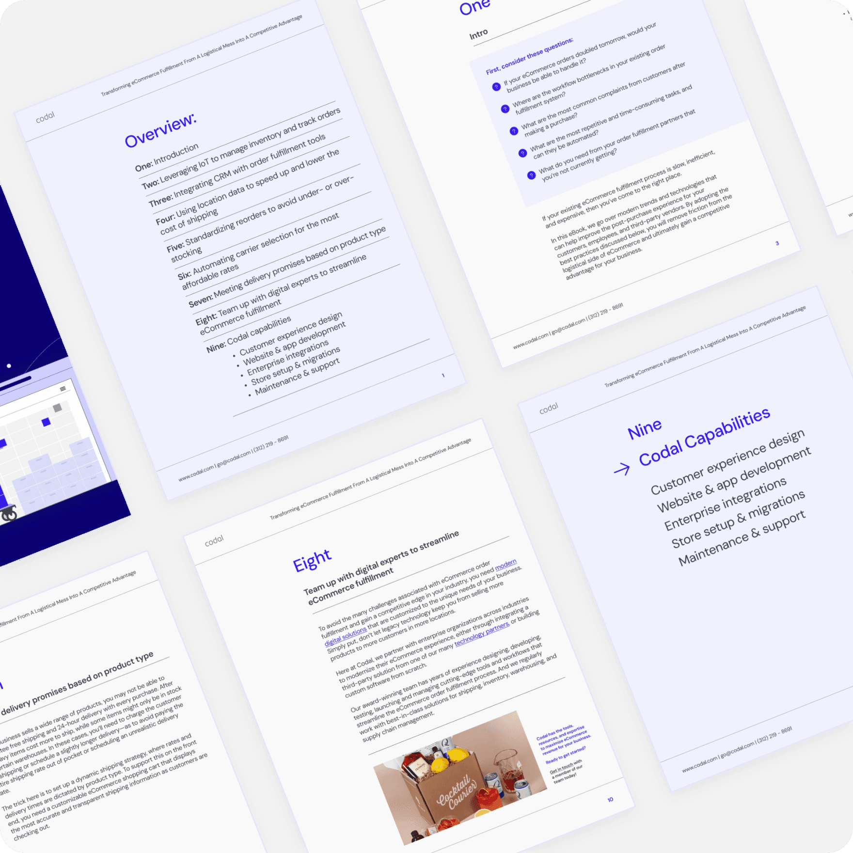 Pages of Transforming eCommerce fulfillment from a logistical mess into a competitive advantage