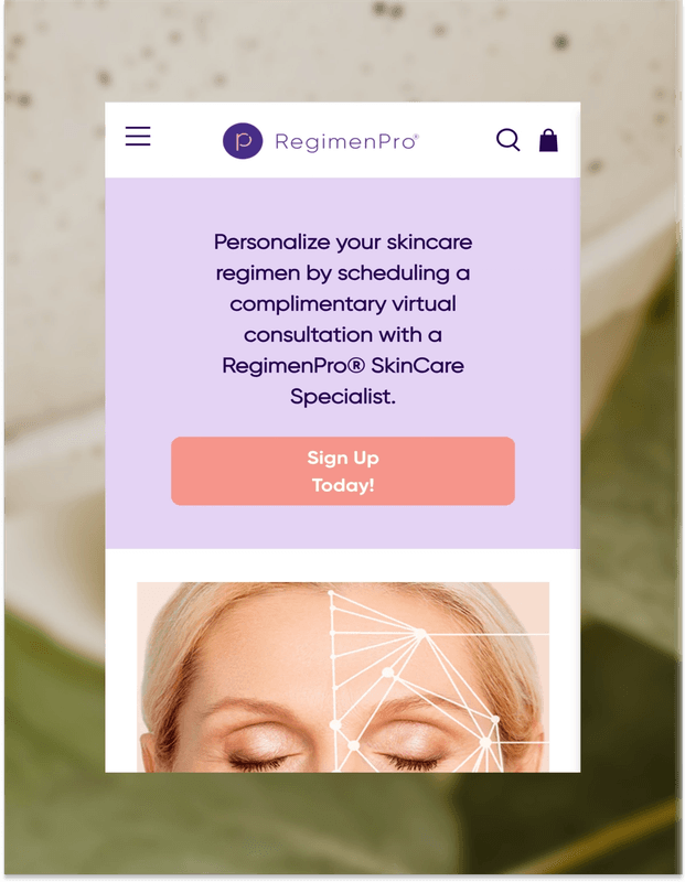 Regimen Pro website mobile