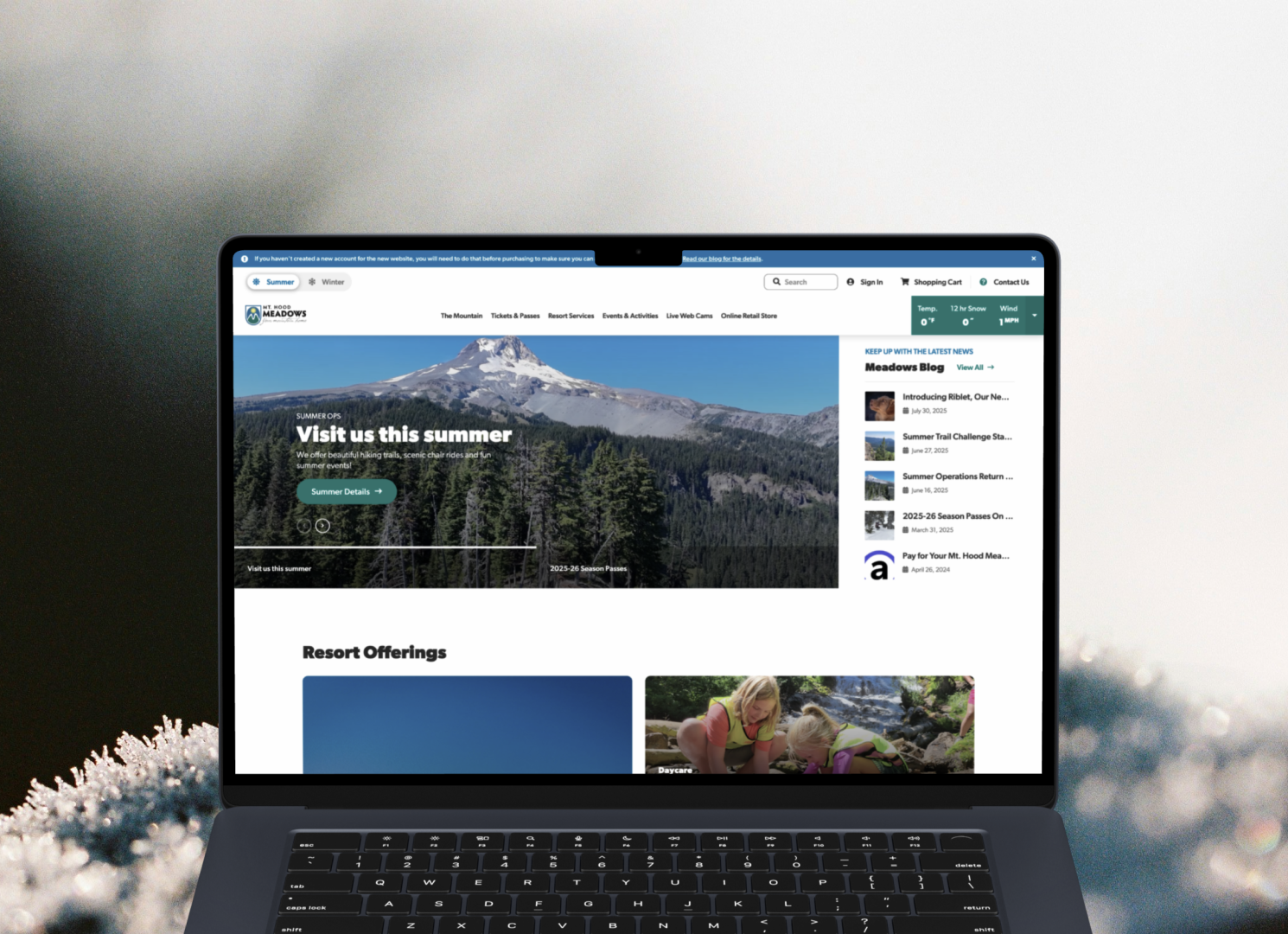 Mt. Hood Meadows resort website on a laptop showing summer hiking activities and seasonal pass information.