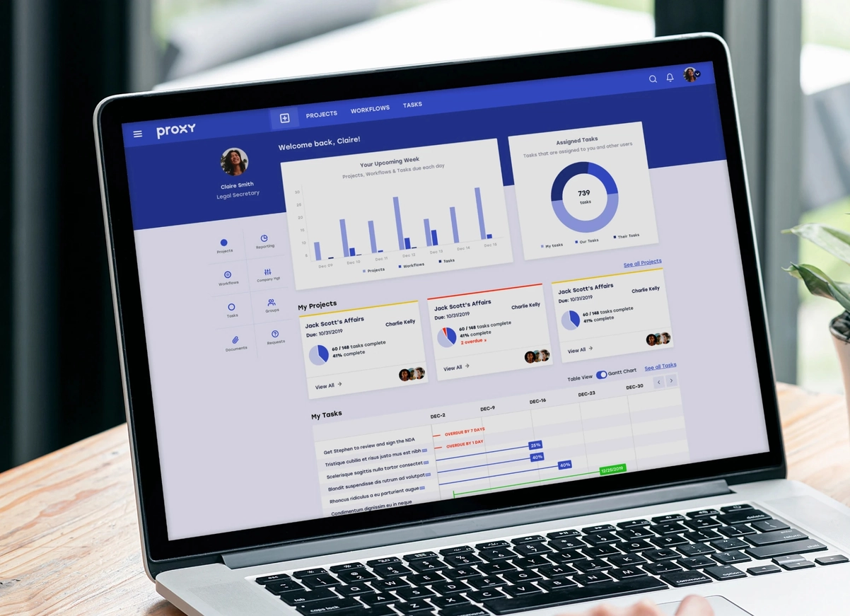 Person using the Proxy product on a laptop