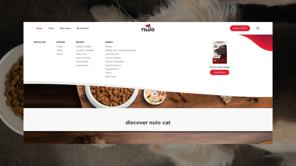 Nulo website desktop