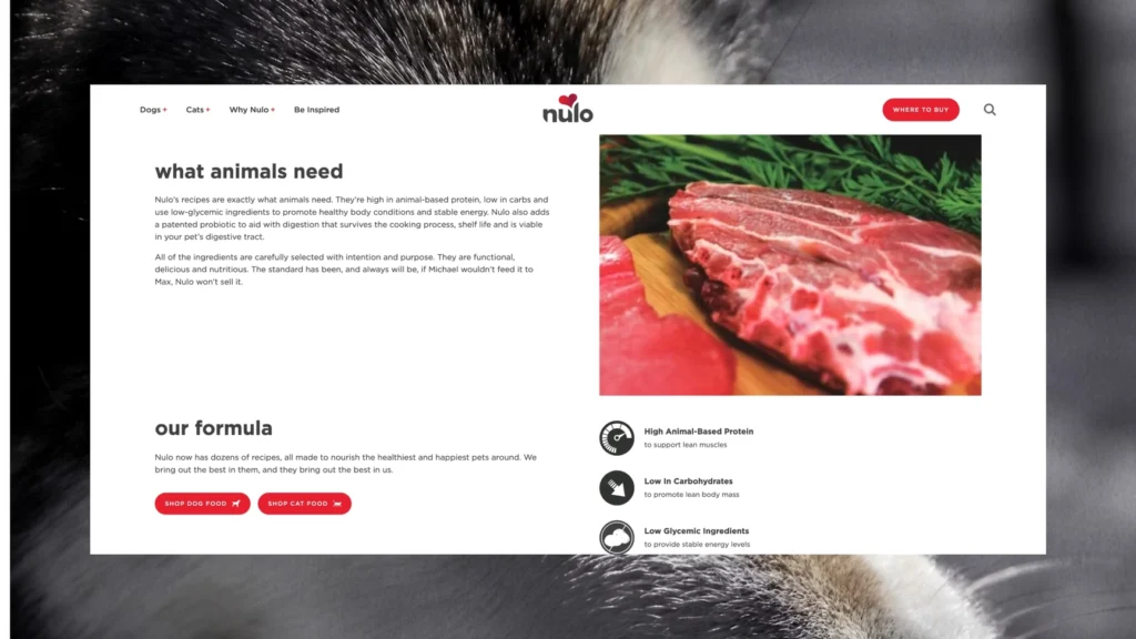 Nulo website desktop