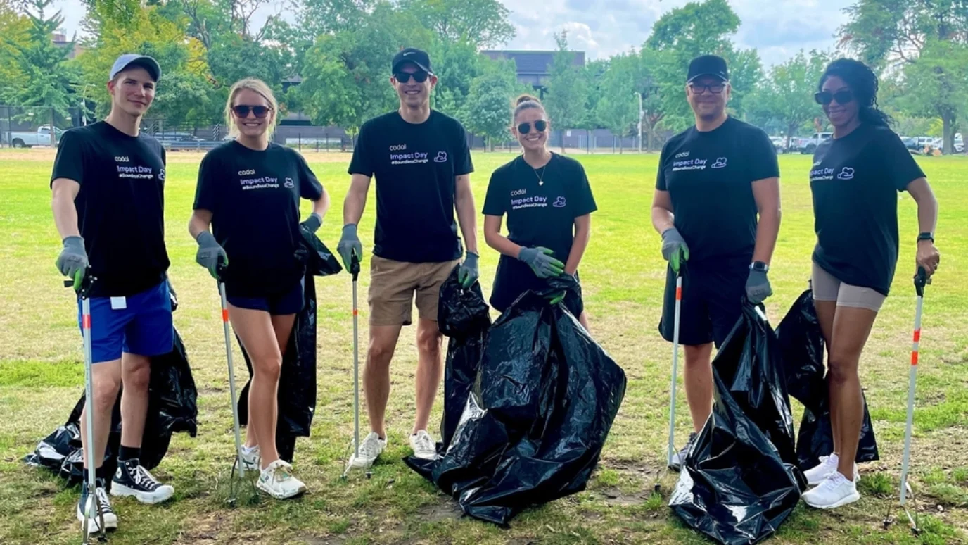 Park Clean up Chicago